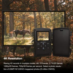 Rexing Woodlens H2 4K Wi-Fi Trail Camera (1 Pack)